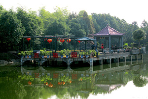 葫芦娃免费视频官网下载园