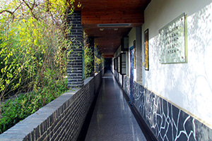 葫芦娃免费视频官网下载园长廊