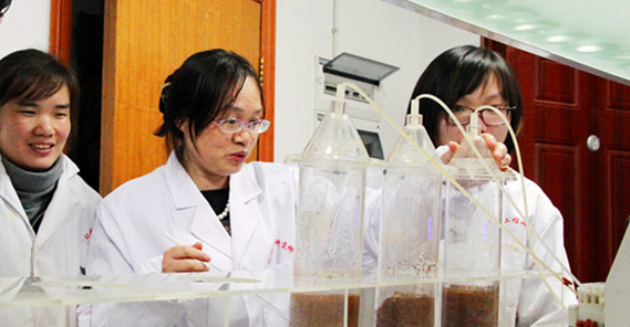 国家重金属污染防治工程技术研究中心副主任 国家重金属污染防治工程技术研究中心副主任