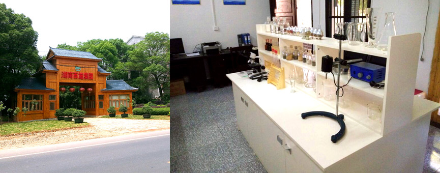 葫芦娃免费视频官网下载三所一院