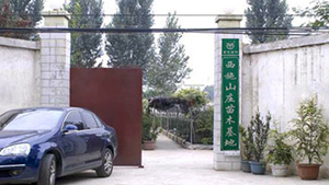 葫芦娃免费视频官网下载山庄苗木基地葫芦娃免费视频官网下载山庄苗木基地