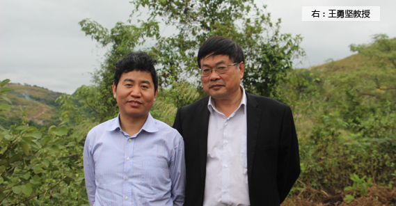 副教授级研究员、高级工程师