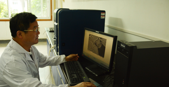 湖南省林业科学院林业研究所所长 湖南省林业科学院林业研究所所长