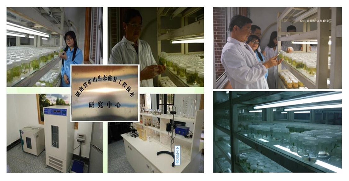 湖南省矿山生态葫芦娃官方下载入口网站技术研究中心