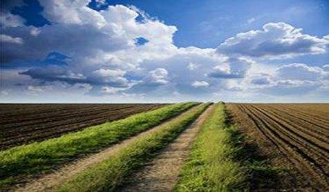 土壤葫芦娃官方下载入口网站2