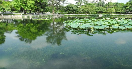 水生态葫芦娃官方下载入口网站3