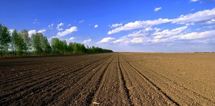 土壤葫芦娃官方下载入口网站3