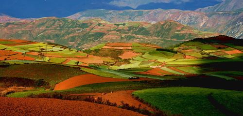 土壤葫芦娃官方下载入口网站4