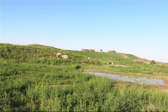 扎鲁特矿山葫芦娃官方下载入口网站后