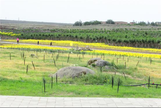 白云鄂博矿山葫芦娃官方下载入口网站后