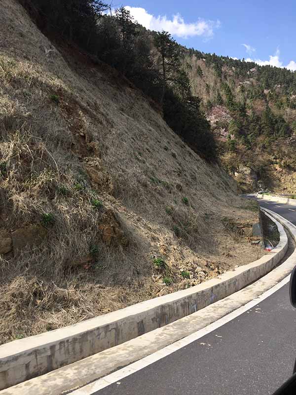 大熊山项目葫芦娃官方下载入口网站前1