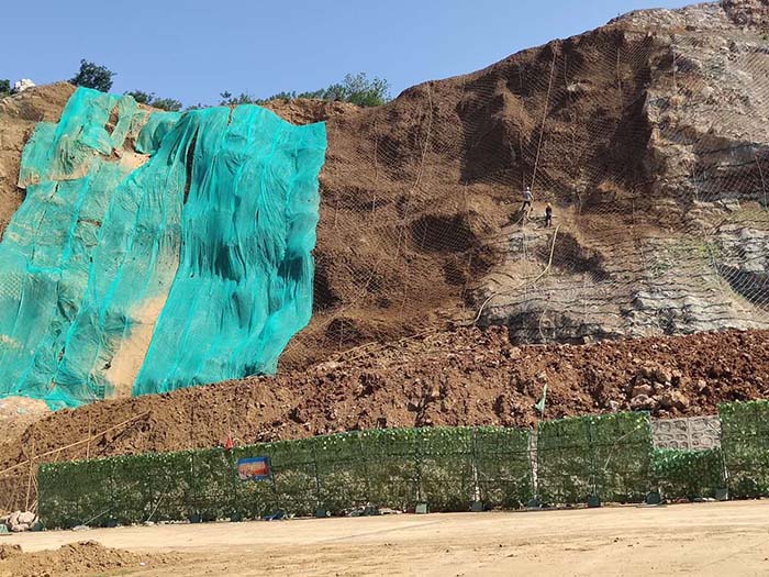 葫芦娃官方下载入口网站中