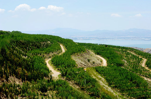 矿山生态葫芦娃官方下载入口网站