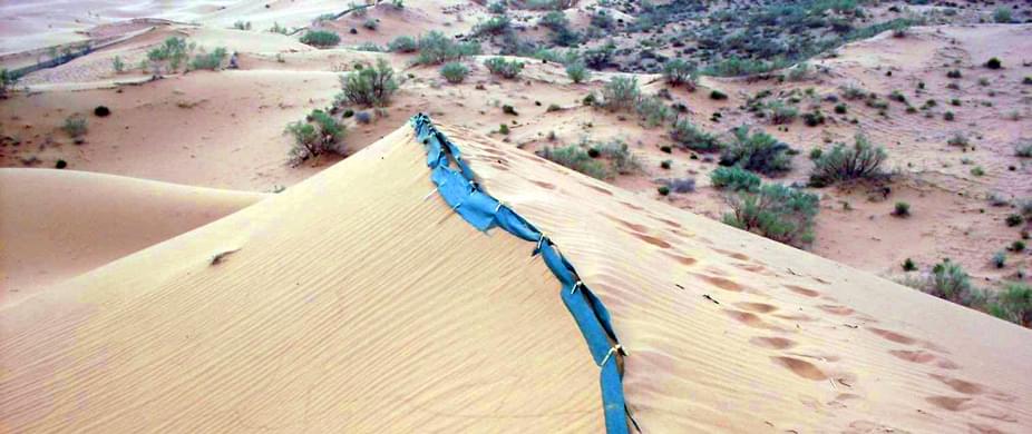 以沙治沙，以沙固沙