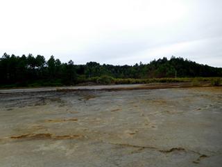 葫芦娃官方下载入口网站前1