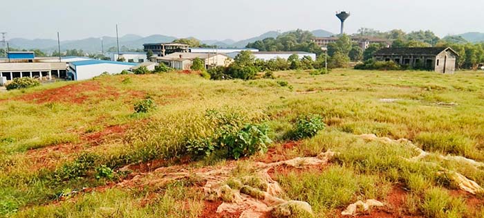 葫芦娃官方下载入口网站后2