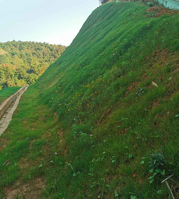 葫芦娃官方下载入口网站后图4guanw