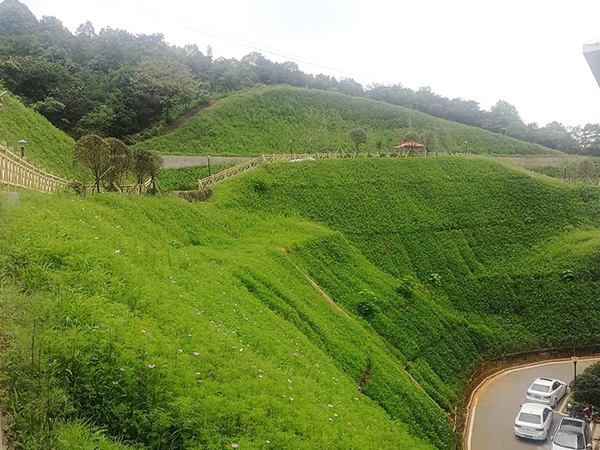 边坡葫芦娃官方下载入口网站 边坡葫芦娃官方下载入口网站