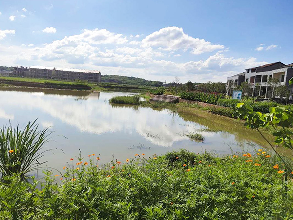 农业面源流域污染综合治理 农业面源流域污染综合治理