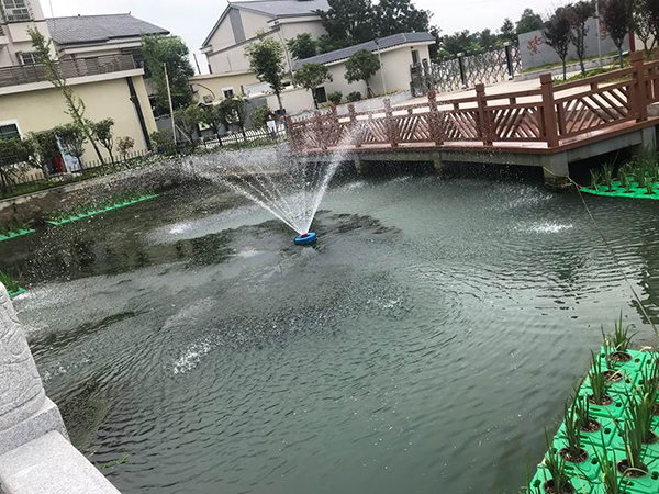 黑臭水体治理 黑臭水体治理