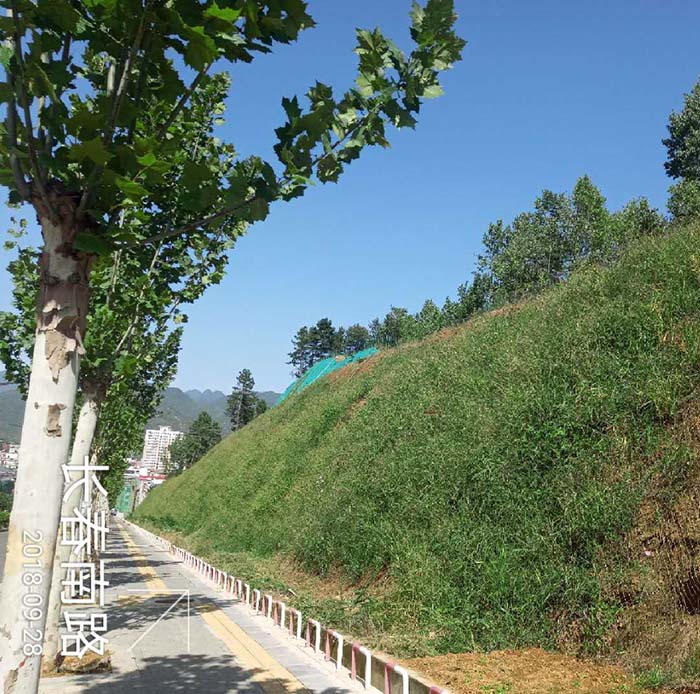 河南省洛阳市栾川县老君山景区山体葫芦娃官方下载入口网站