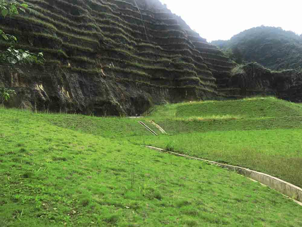 葫芦娃官方下载入口网站后x