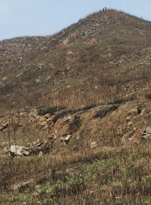 冷水江锡矿山葫芦娃官方下载入口网站前